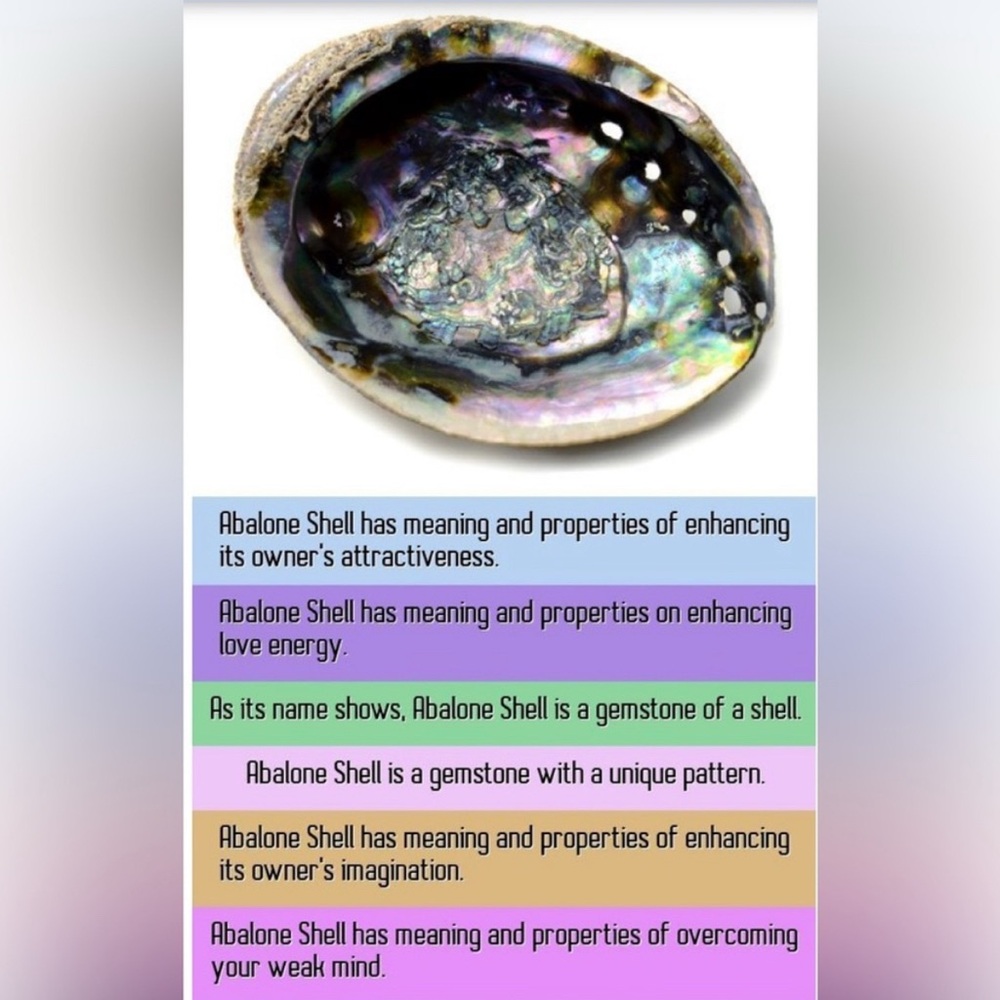 Abalone Shell - Picture 3 of 3